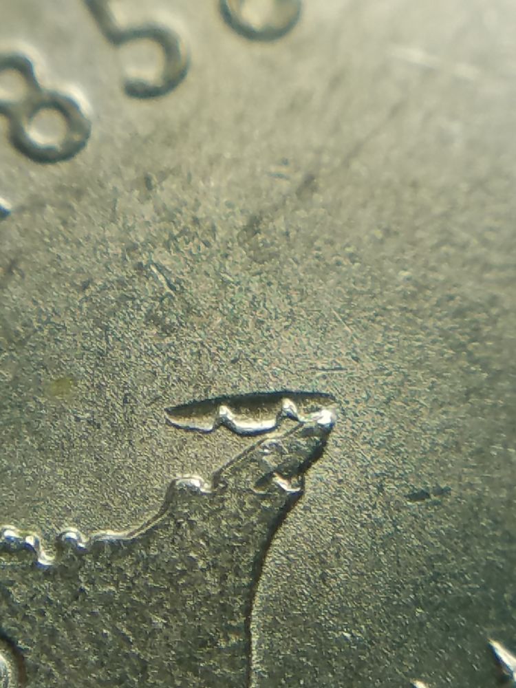 Mystery-PMD,-What-Causes-This?
